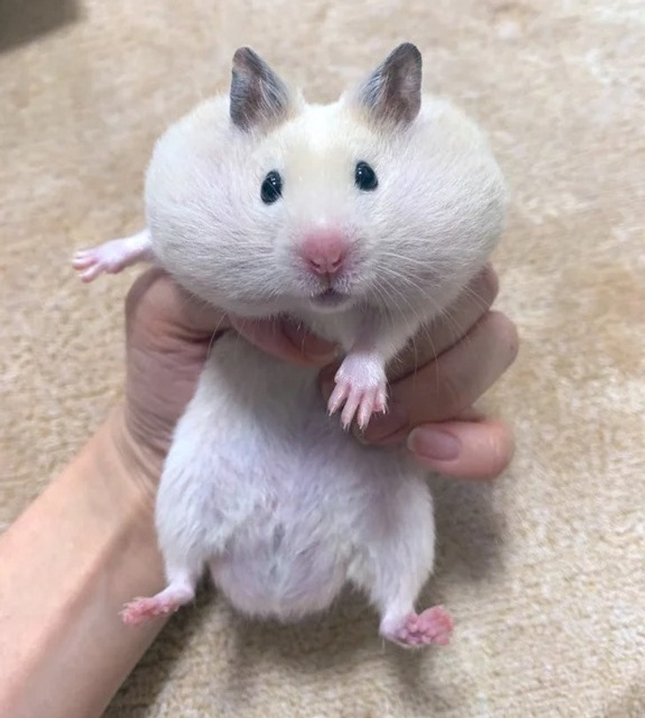 5c79635d4d8f79ce9a0dfdf1b5