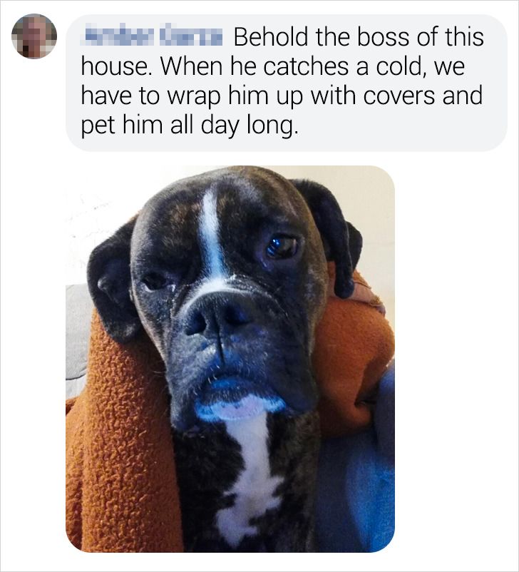 5c7da053d683004e36df6ec79a