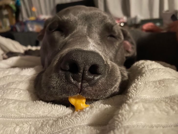 5c82105bf0ab7293163873d2cb