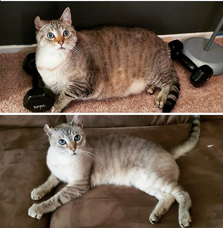 5c82955d8cbb7d92942176ae14