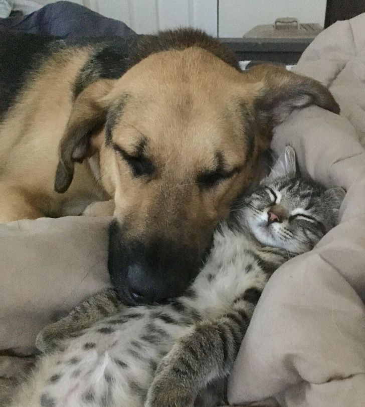 5c856857119d5fec1bba633275