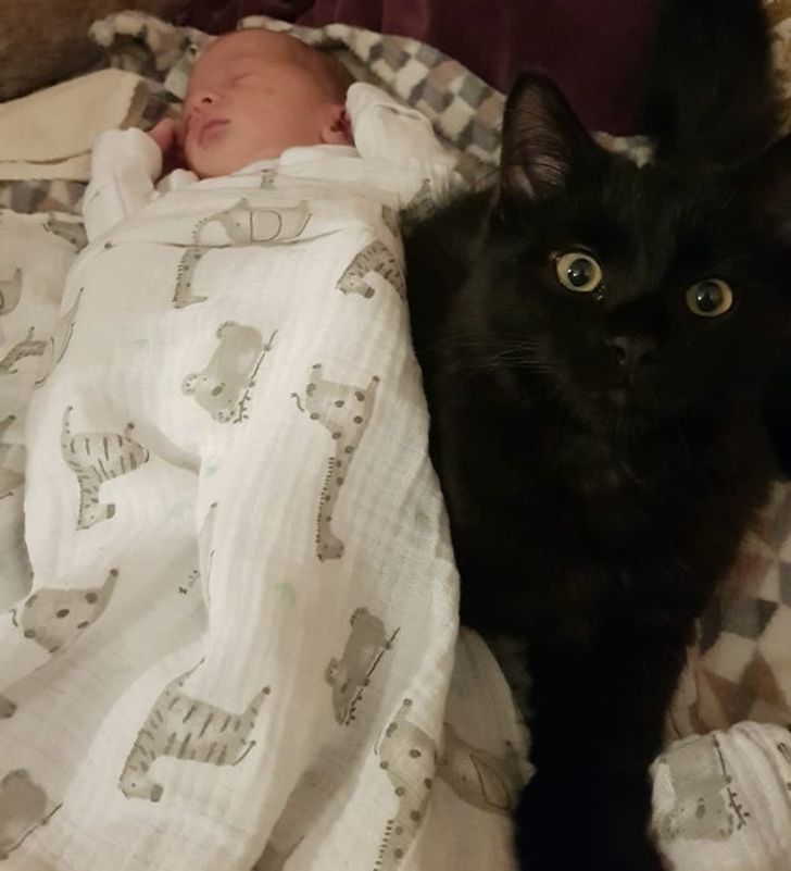 5c876c5227940f3379a0d98795