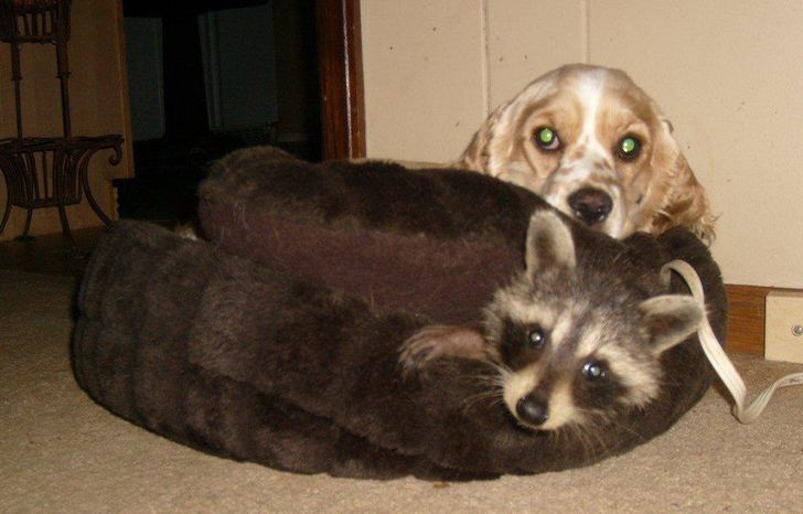 5c8aa4561999d8e53aec359aee