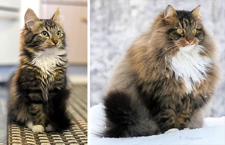 5c974c5e15a669953ad70fce72