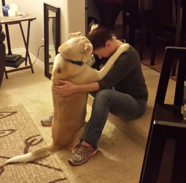 5ca940542ab3447f467f25db55