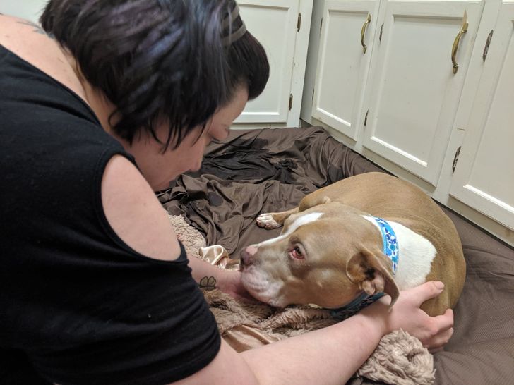 5caae25da58be47d0a9872884d