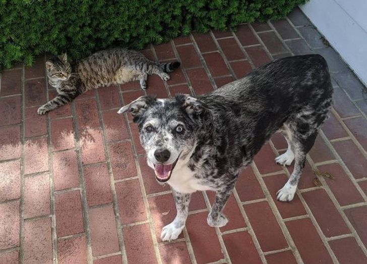 5cac5f5ee2ad4e0c798e78bc9e