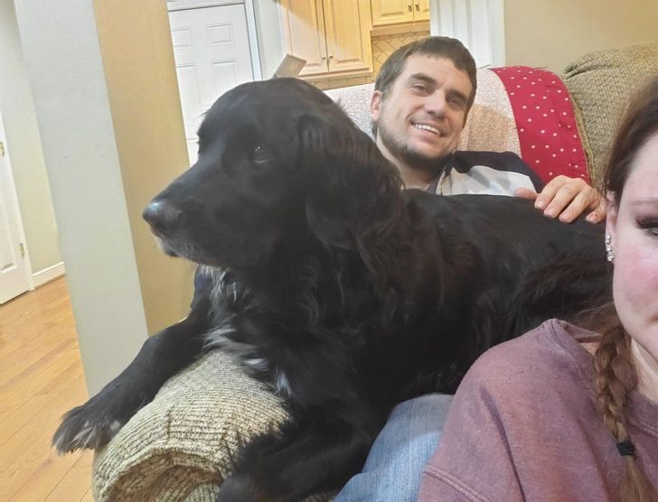 5cad52518e902e464a1d79e9cf 5cad52518e902e464a1d79e9cf