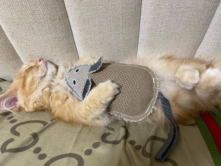 5cb3c65a16972f1c4f43bfe404