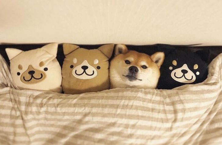 5cb54b546999e6e3ec09c1ce9b