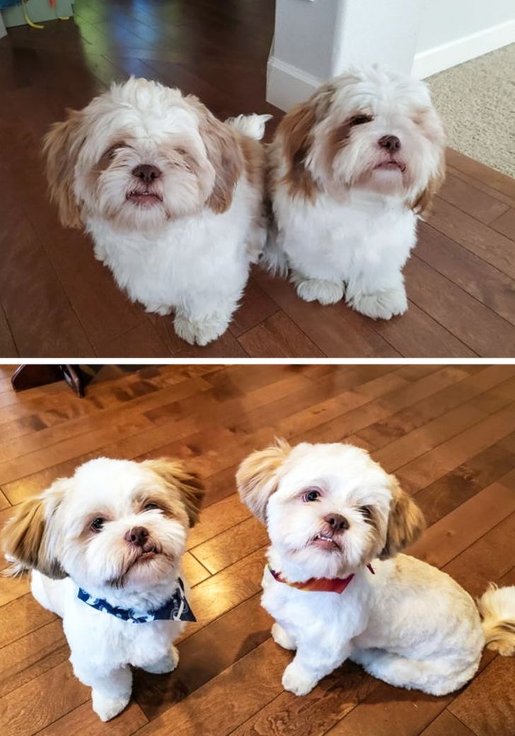 5cba345955bde60ea3cc21141c