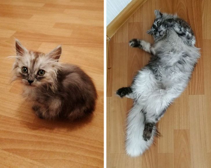 5cbd0250938123f1499a734289