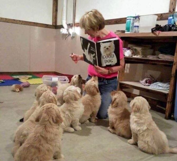 5cbf2a5124852bb9aecf2d9d34