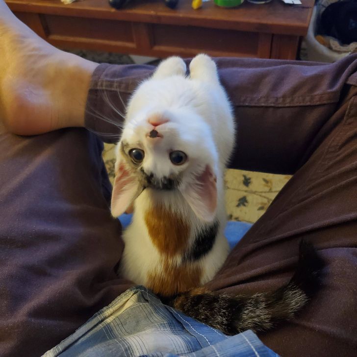 5cc7b854a7a198a62dfcab6fef