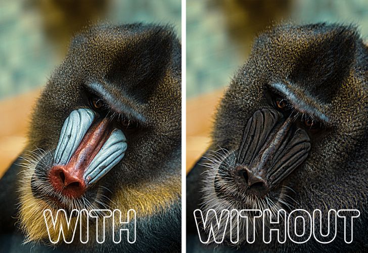 5cc7c05c128d711b21b7248279