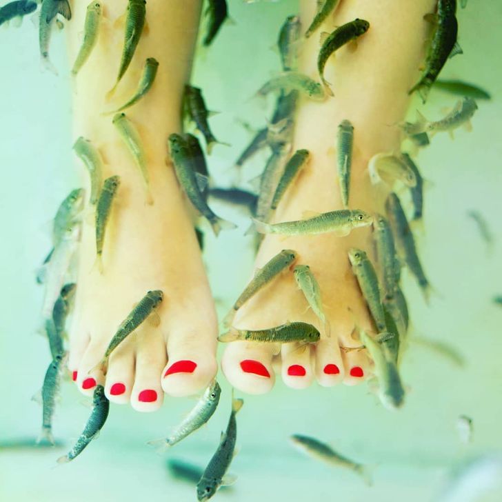 5ccb1b5af7aaa4582e1d5ee9c4