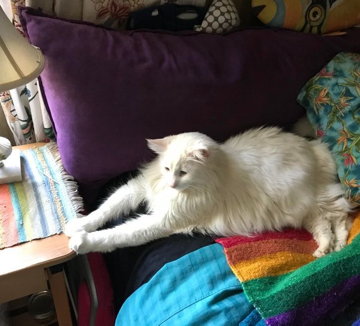 5cd14c590abdc2611b4aa7e2cc