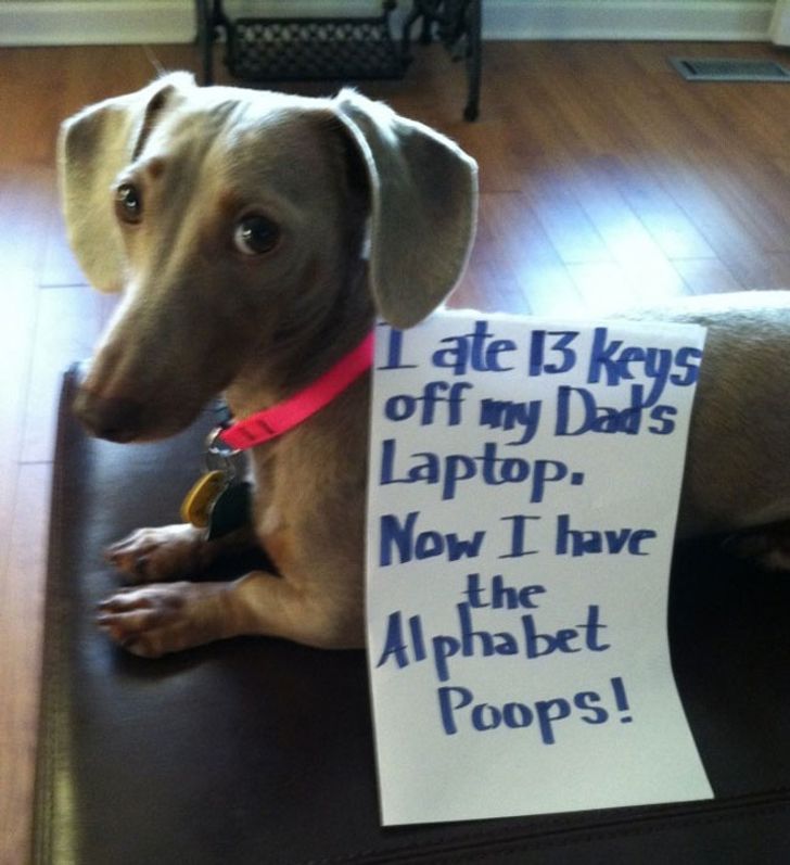 5cdb95541990a01bdf682bf527