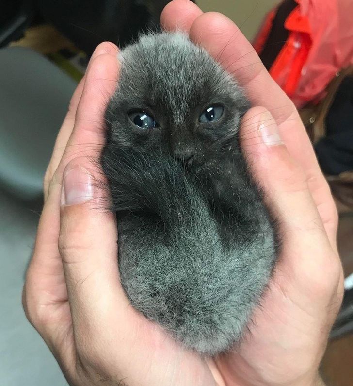 5cdd7c5c6584ffba9dd1b2c8f7