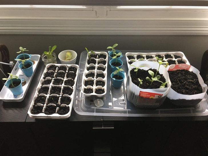 5cdda3576194e0145a3f825bc2