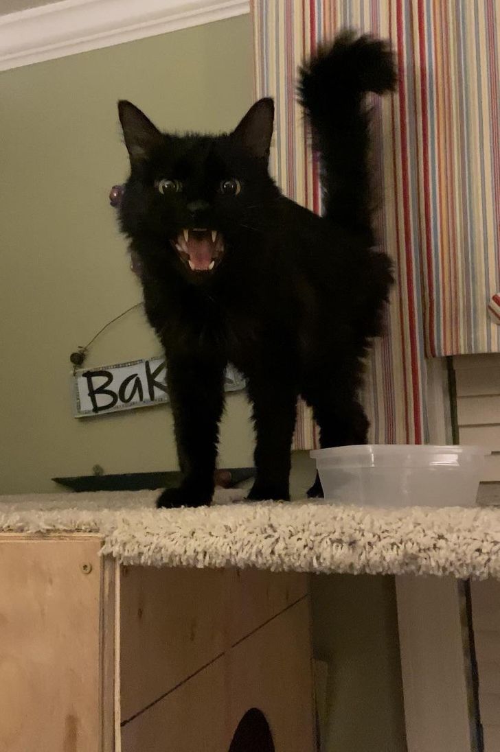 5ce0045c12bc188223f76655ee