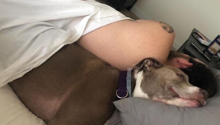 5ce0525f46ab8c07910423d28d