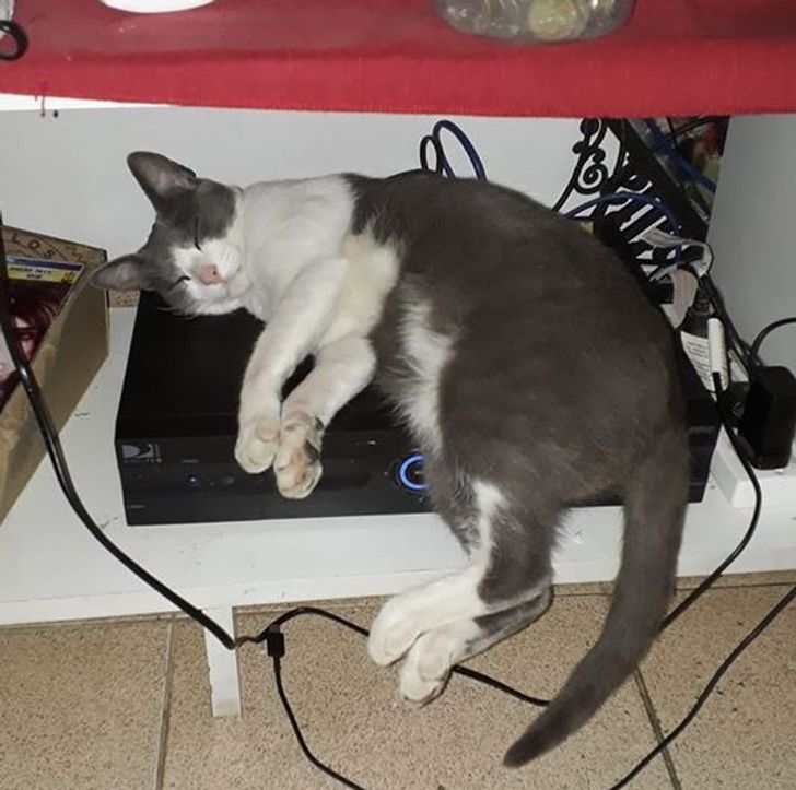 5cebdb5ebb94273a47ba06793a