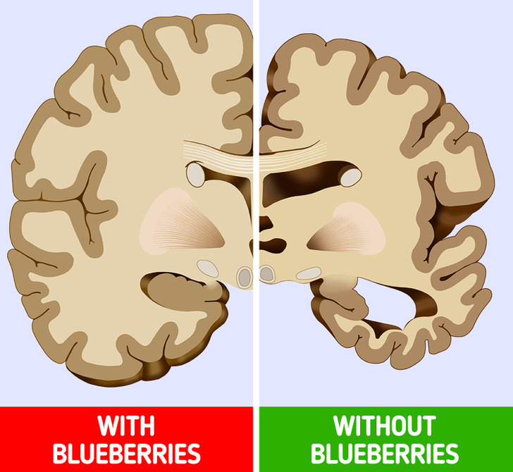 5cf2075c3c97fe0d61a418ecbb