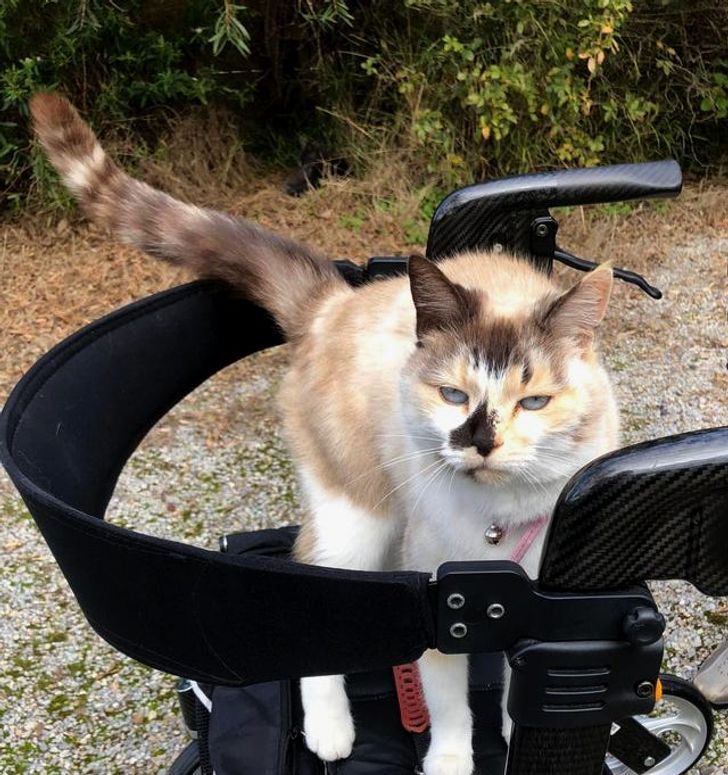 5cfe285c42a45ec985ff9c9d8e