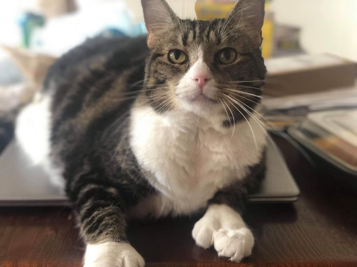 5d0083556d81de8700e363f090