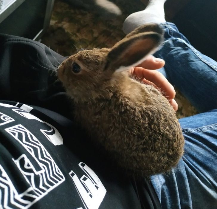 5d01ed58a39bef1aa86ca83cbf