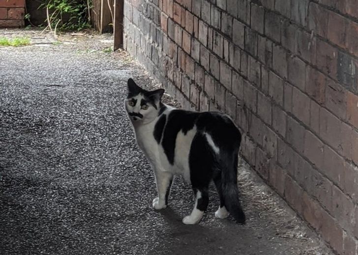 5d02b7581b910518307376af64