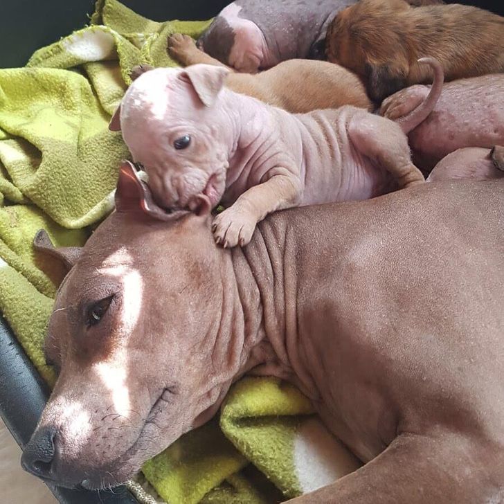 5d03745624b6b5dce508af0174