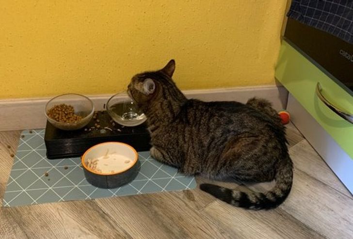 5d0b7c5f77a6385fa85f8666c7