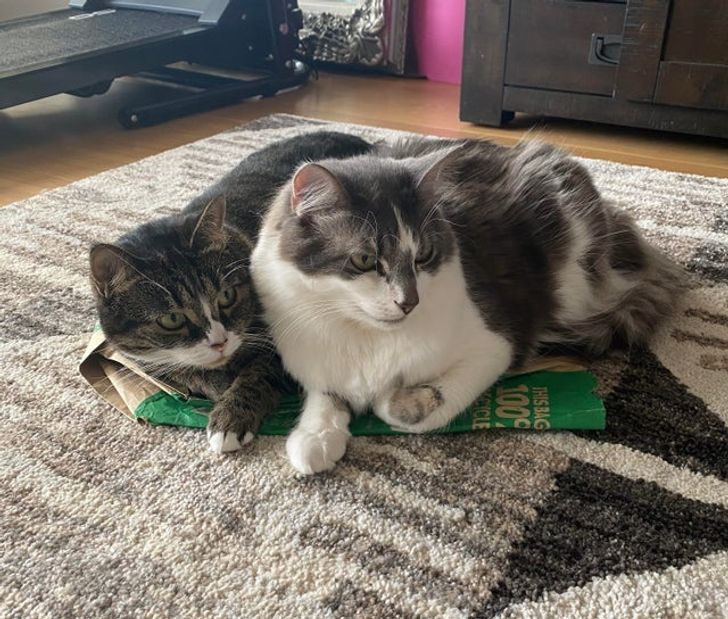 5d148a5cce8a0496c6541783cf