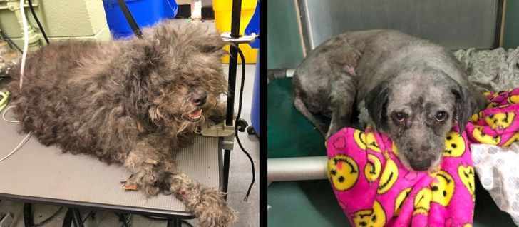 5d15ad52adb871a9f78eb084b3