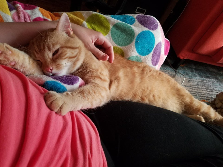 5d1a185bb88ad58c48fac9084d