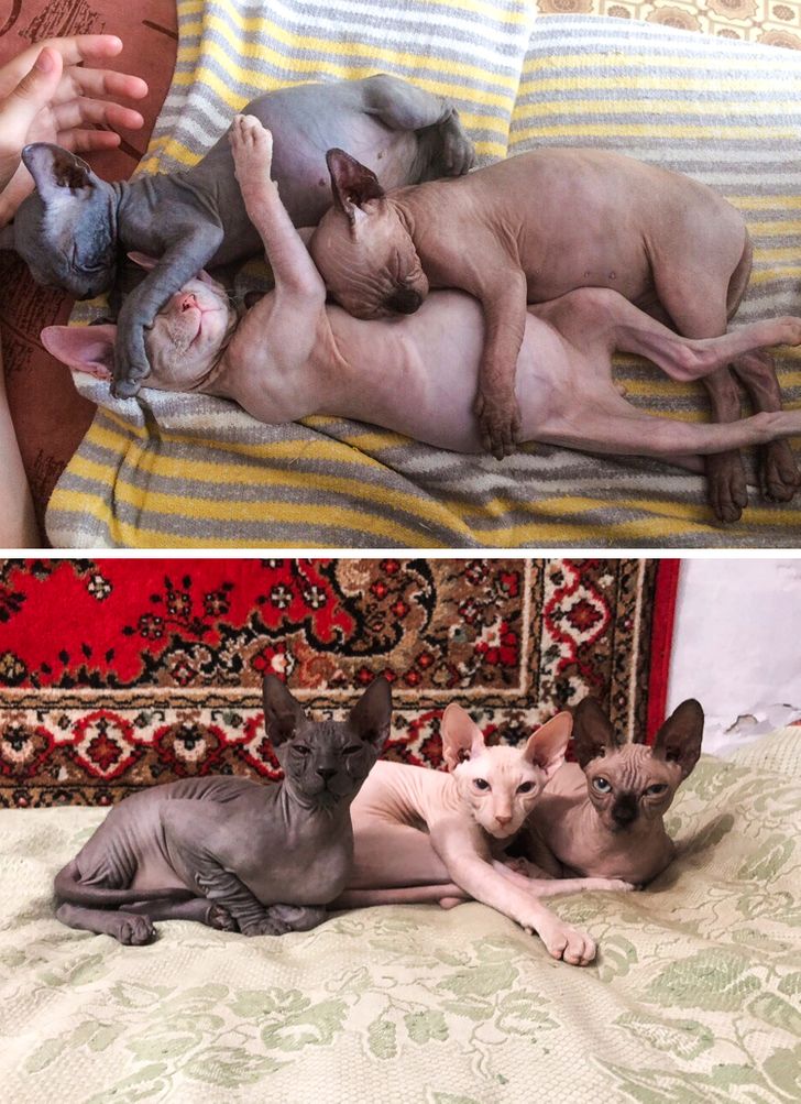 5d21475ddd95d0d1656370cb1c