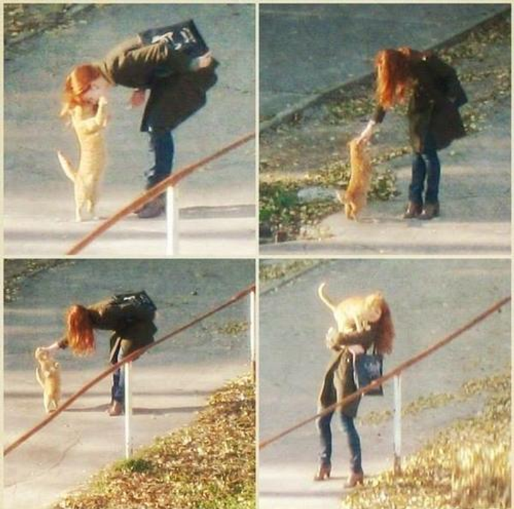 5d36815d1a8a53adb24869f67e