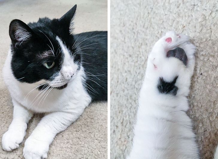 5d3b3b531b875efac3342b8731