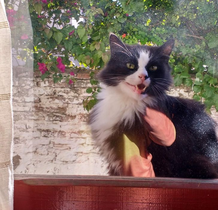 5d45615ec79e0f8d4b8f6d54fb