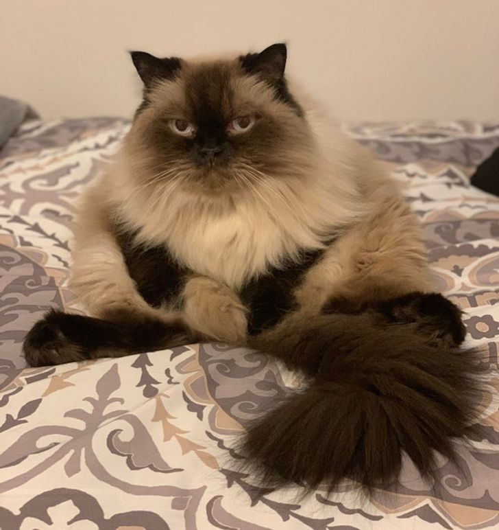 5d490e55bd9aa99d16f8bcf845