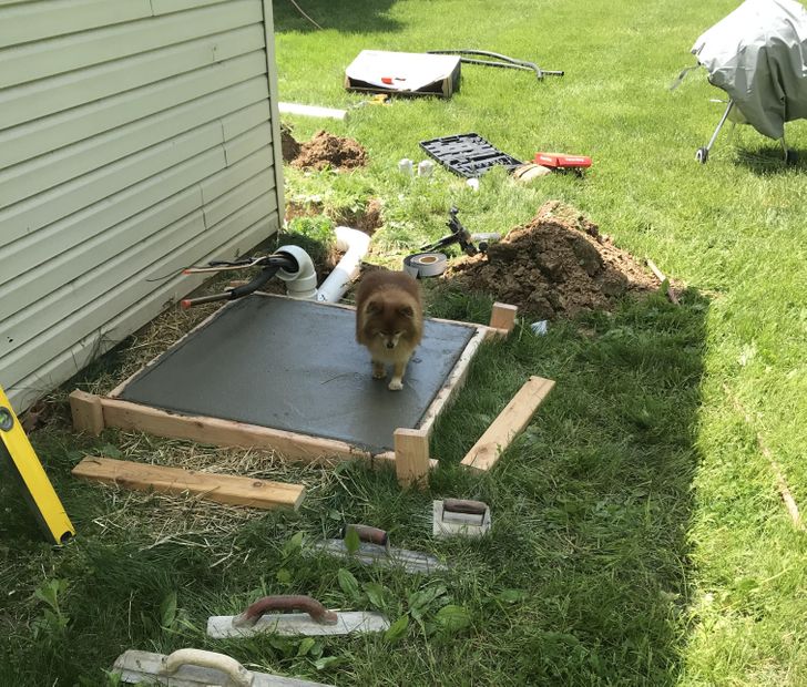 5d4f2857cab3698b7393fb72e8