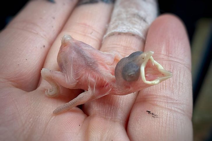 5d52af52ce8346f6e8af909f64