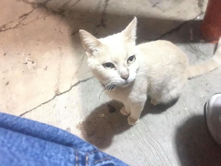 5d55e45492b0485d6fd764c5ae