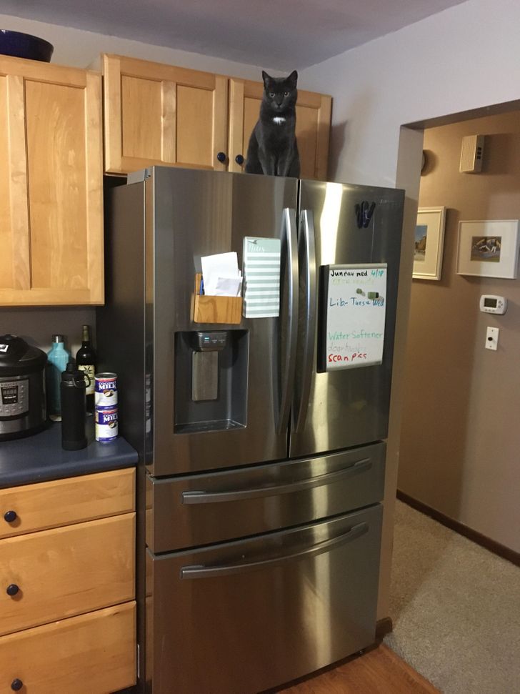 5d57365fac83772217a881dd26