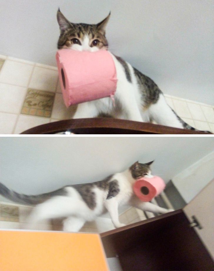 5d5e485a7b8b95c46cd1ae1cb7