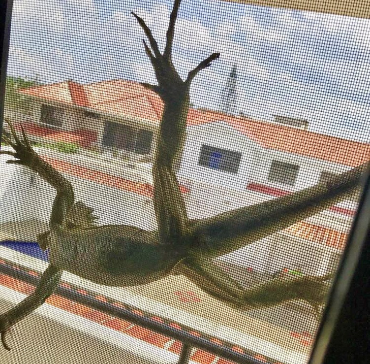 5d6e2a59d4957def0e40413dc9