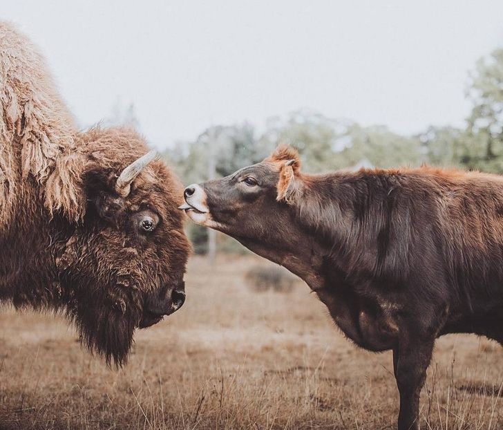 5d74fd5dbd9d7375a2d21023d9