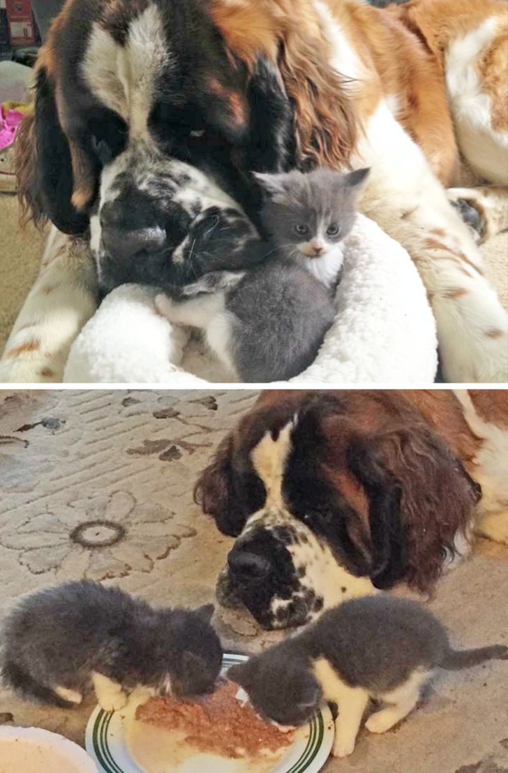 5d75a159ca831c4b72fc1a018d